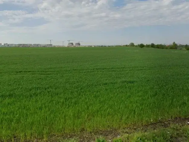 Teren sosea Tunari Stefanesti 17000 mp cu PUZ Lotizat rezidential img 3